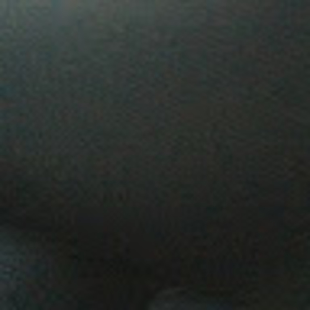 Meet your Posher, Nina
